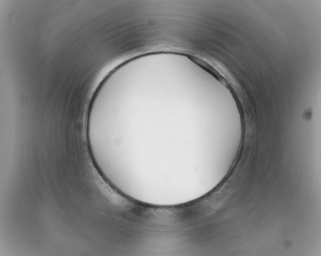 X0000091521246200709141408