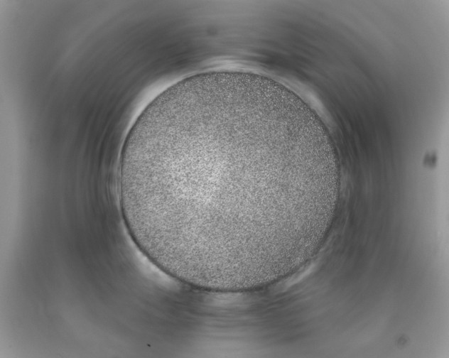 X0000091521247200709141408