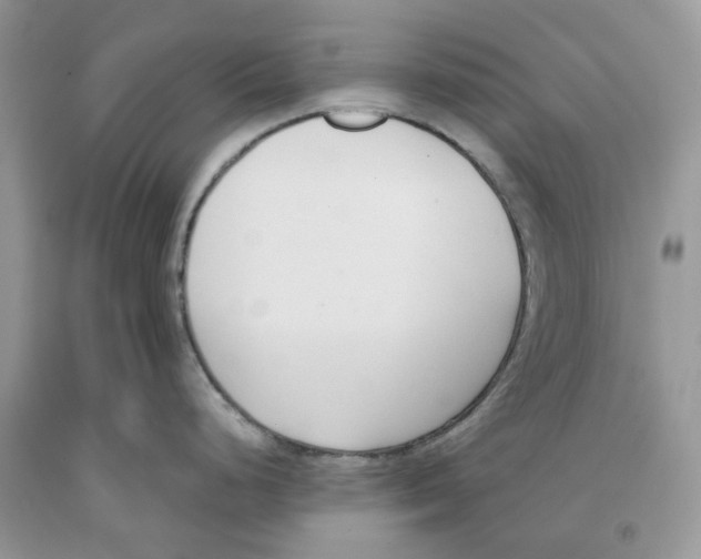 X0000091521248200709141408