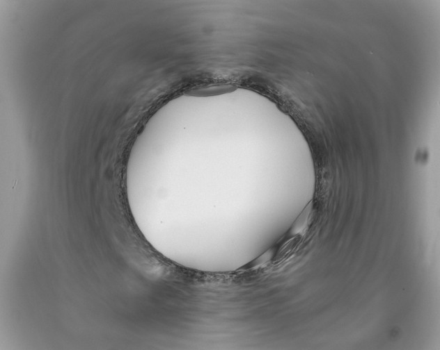 X0000091521249200709141408