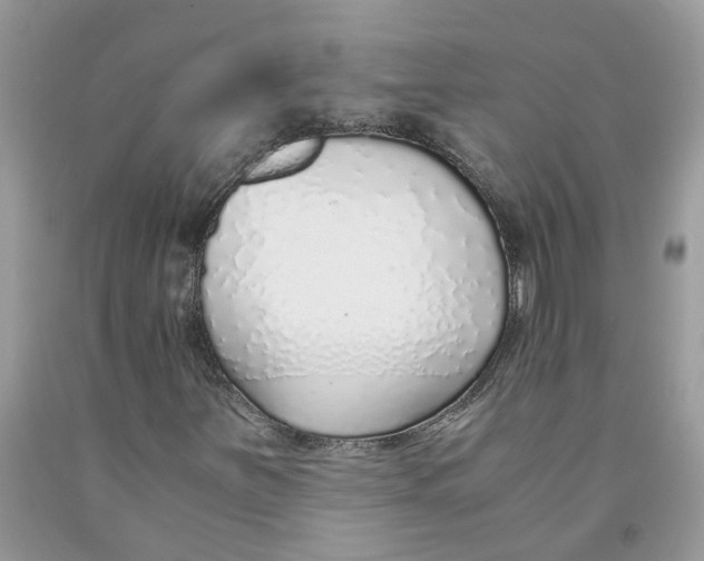 X0000091521251200709141408