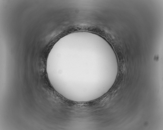 X0000091521253200709141408