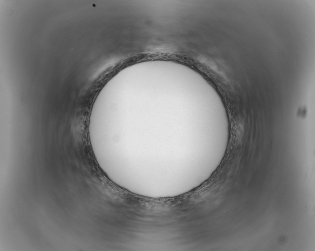 X0000091521254200709141408