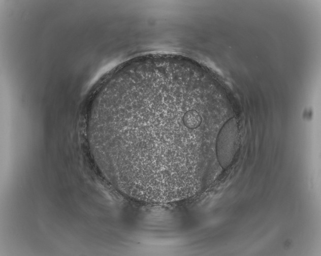 X0000091521255200709141408