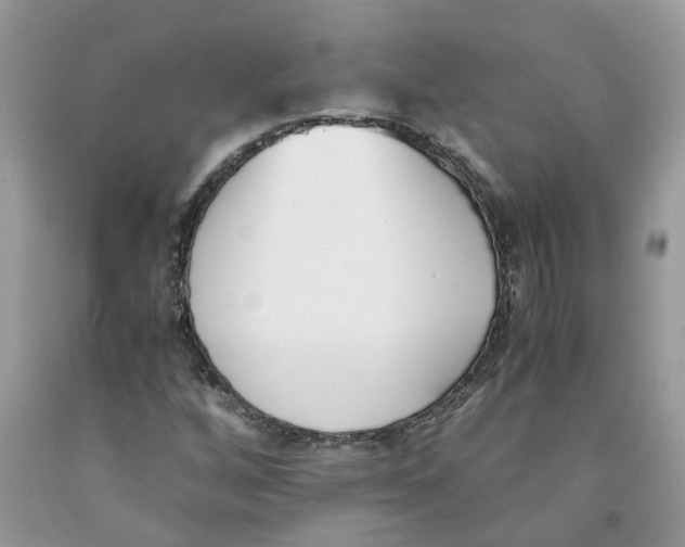 X0000091521256200709141408