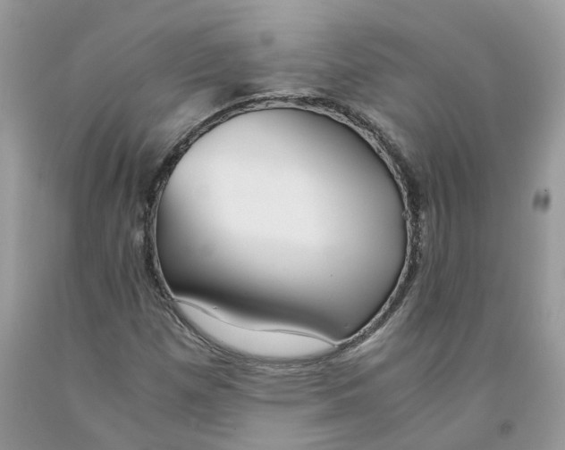 X0000091521257200709141408