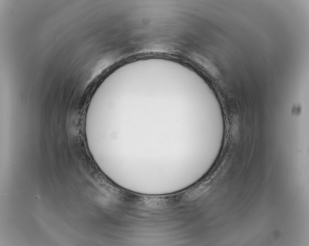 X0000091521258200709141408