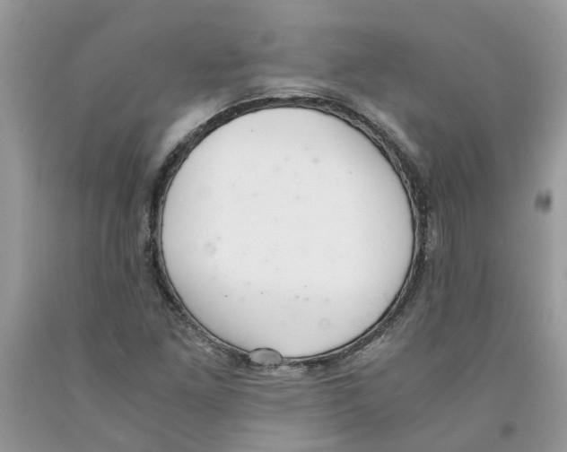 X0000091521261200709141408