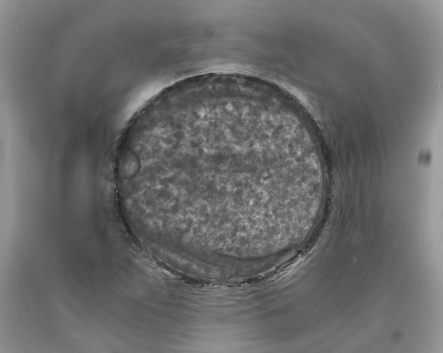 X0000091521263200709141408