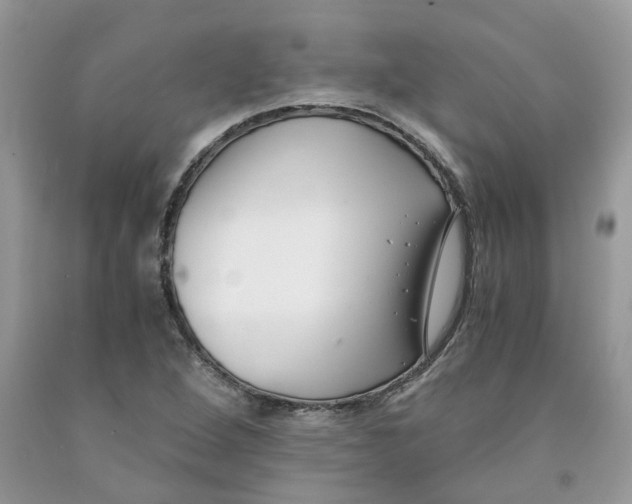 X0000091521264200709141408