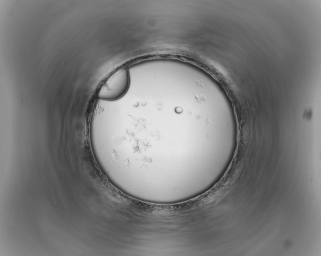 X0000091521267200709141408