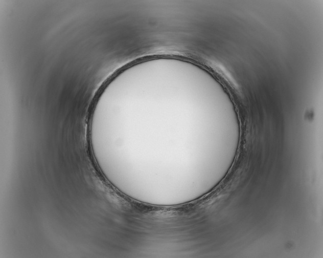 X0000091521268200709141408