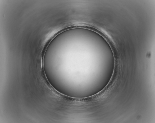 X0000091521269200709141408