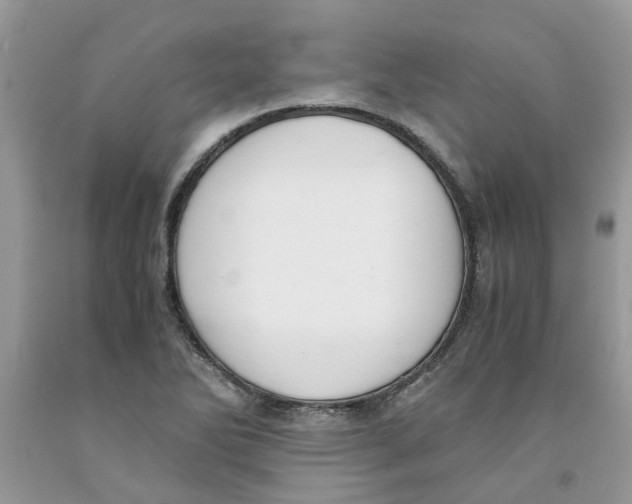 X0000091521270200709141408