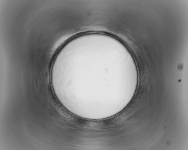 X0000091521271200709141408