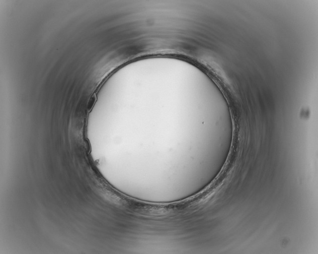 X0000091521273200709141408