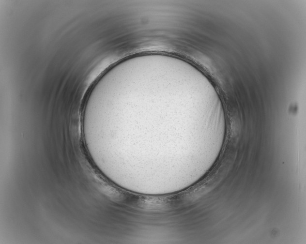 X0000091521274200709141408