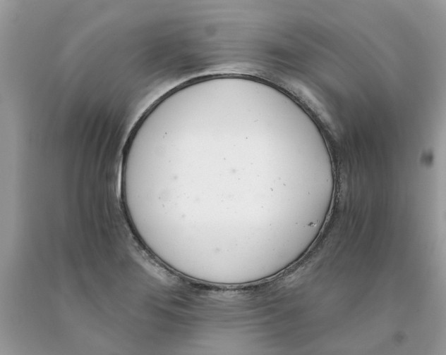 X0000091521276200709141407