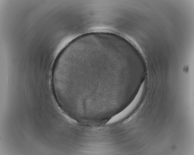 X0000091521277200709141407