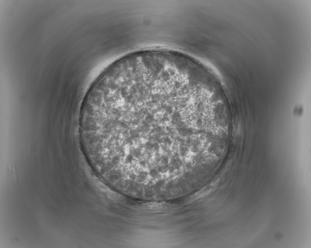 X0000091521279200709141407