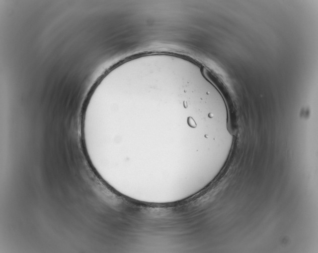 X0000091521280200709141407