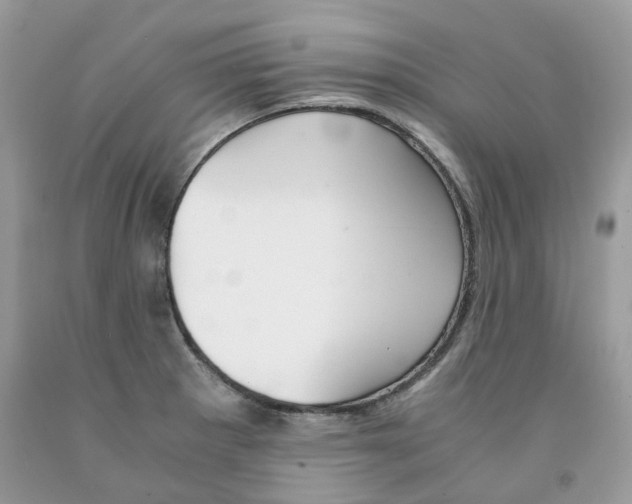 X0000091521281200709141407