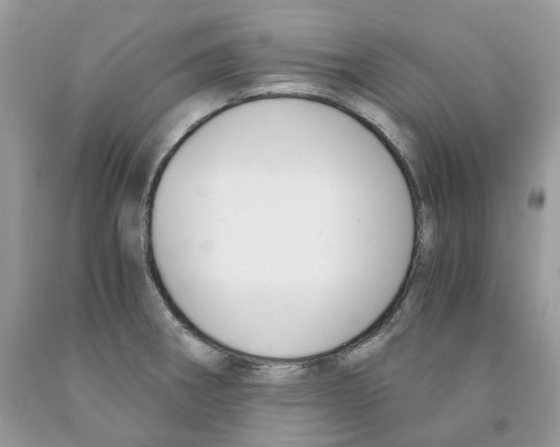 X0000091521282200709141407