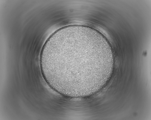 X0000091521283200709141407