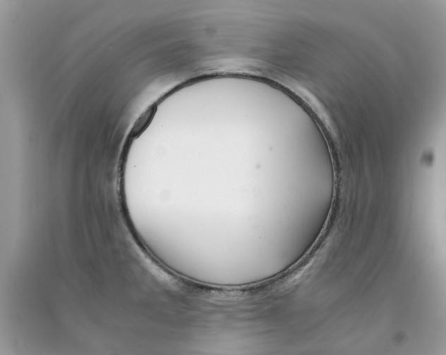 X0000091521285200709141407