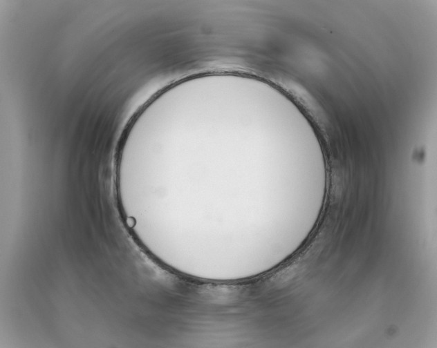 X0000091521286200709141407