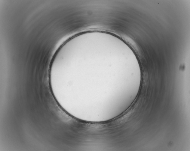 X0000091521288200709141407