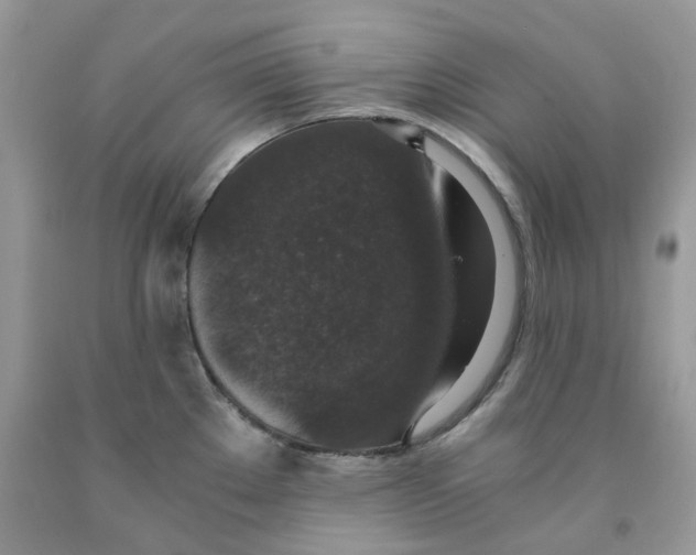 X0000091521289200709141407