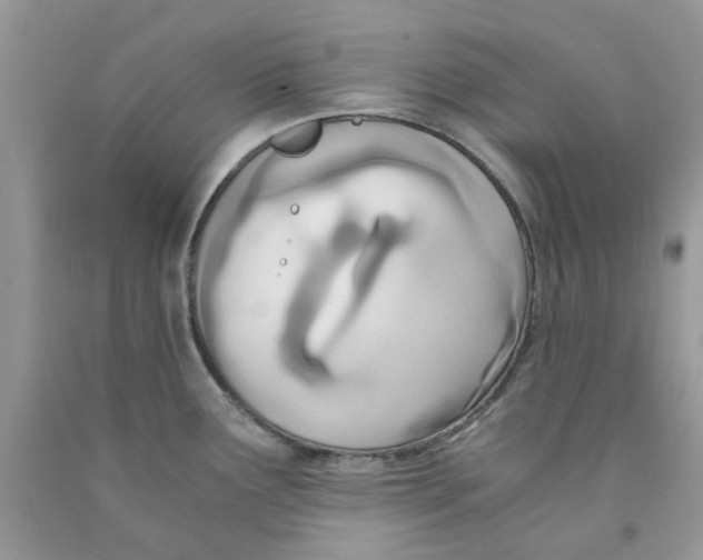 X0000091521291200709141407