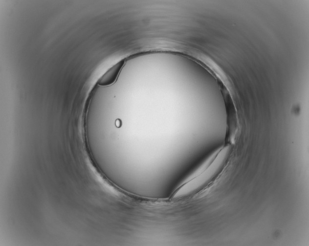 X0000091521293200709141407