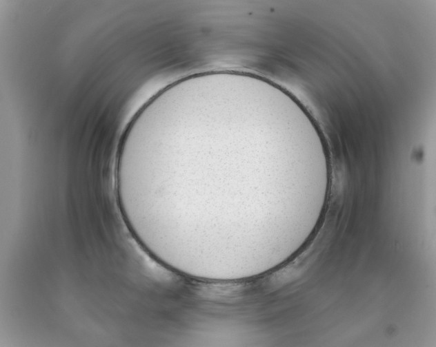 X0000091521294200709141407