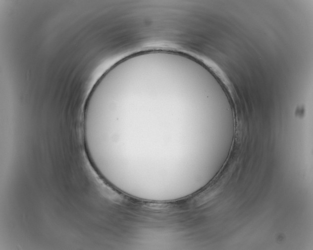 X0000091521295200709141407