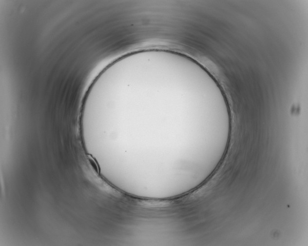 X0000091521296200709141407