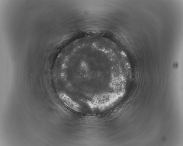 X0000091521297200709141407