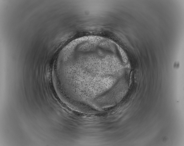 X0000091521298200709141407