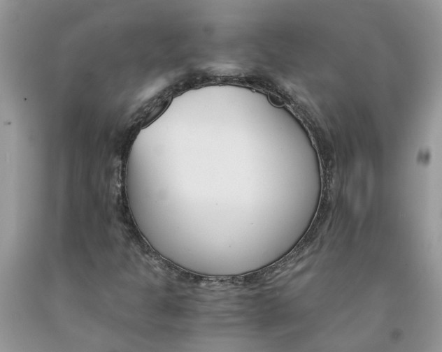 X0000091521301200709141407