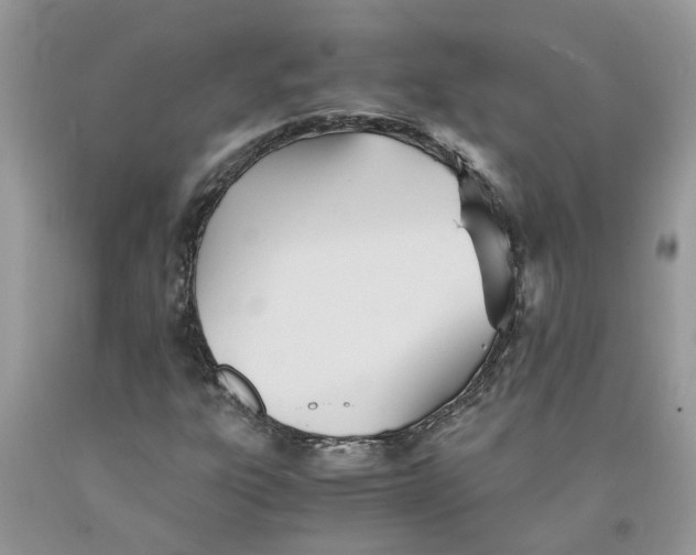 X0000091521303200709141407