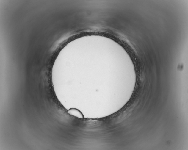 X0000091521304200709141407