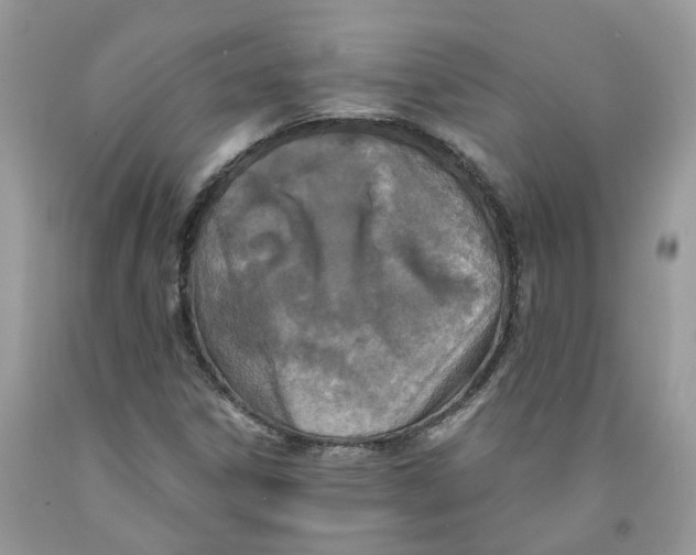 X0000091521306200709141407