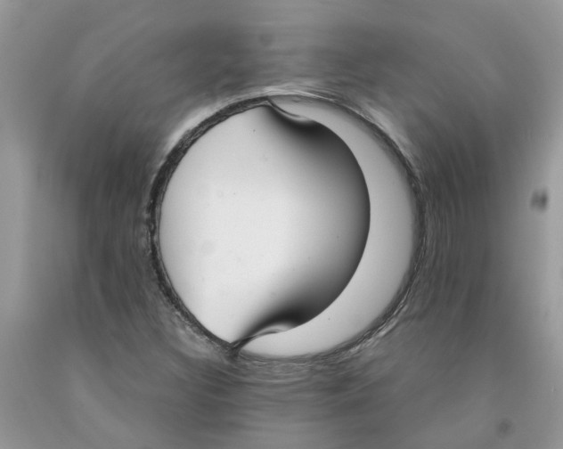 X0000091521308200709141407