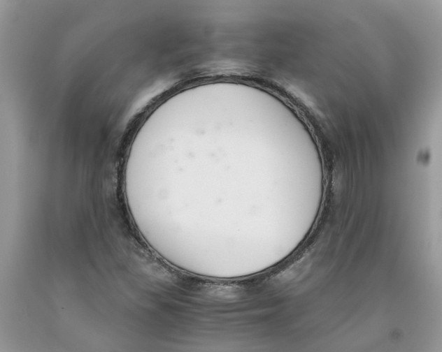 X0000091521309200709141407