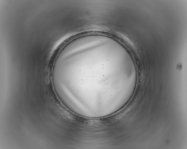 X0000091521310200709141407