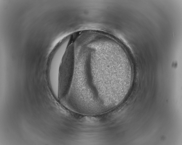 X0000091521312200709141407