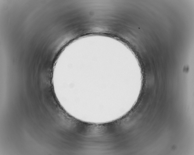 X0000091521314200709141407