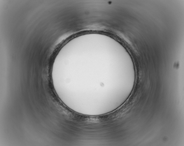 X0000091521315200709141407