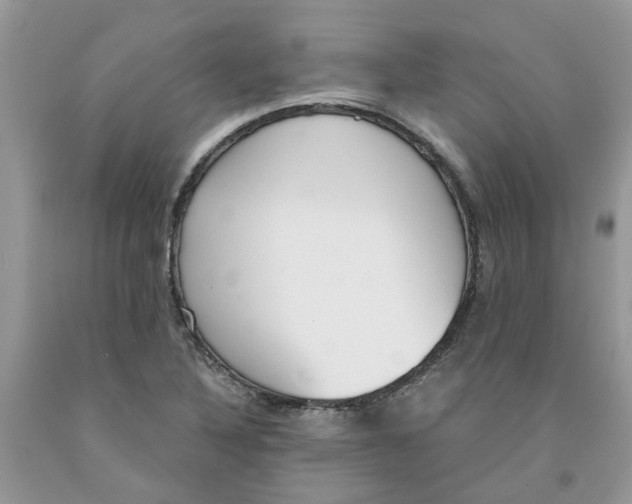 X0000091521316200709141407